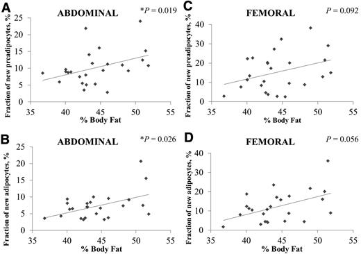 Figure 3. Preadipocyte and adipocyte formation in both scABD (A and B) and scFEM (C and D) depots positively correlates with overall percent body fat. Simple associations between the fraction of new preadipocytes or adipocytes and percent body fat were analyzed using Spearman correlation (n = 25). The Spearman correlation between fraction of new preadipocytes (scABD) and percent body fat is 0.4263 (R2 = 0.2472; P = 0.019), and it is 0.3291 (R2 = 0.2346; P = 0.026) between new adipocytes (scABD) and percent body fat. The Spearman correlation between fraction of new preadipocytes (scFEM) and percent body fat is 0.2761 (R2 = 0.1123; P = 0.092), and it is 0.5358 (R2 = 0.2116; P = 0.056) between new adipocytes (scFEM) and percent body fat. *P < 0.05.