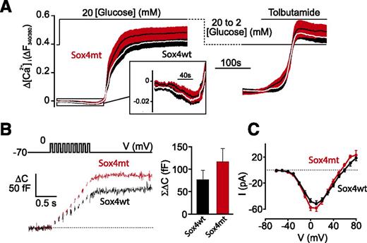 Figure 2. No impairment of [Ca2+]i signaling, exocytosis (measured through whole-cell capacitance), and Ca2+ currents. A: Glucose- and tolbutamide-induced increases in cytosolic Ca2+ (ΔF) in Sox4wt or Sox4mt islets. The glucose concentration was varied as indicated above the traces. Tolbutamide was added at a concentration of 0.2 mmol/L. Traces are mean ± SEM of nine experiments for each genotype (three islets per animal and three animals per genotype) and have been baseline corrected to correct for fading of the fluorophore. B: Increase in membrane capacitance (ΔC) during a train of 10 50-ms depolarizations from −70 to 0 mV (V) in Sox4wt and Sox4mt β-cells. The histogram compares the total increase in membrane capacitance (ΣΔC) evoked by the train of depolarizations in Sox4wt and Sox4mt β-cells (n = 24–28 β-cells from four mice per genotype). C: Peak current (I)-voltage (V) relationship for voltage-gated Ca2+ currents recorded from single Sox4wt and Sox4mt β-cells during depolarizations from −70 mV to membrane potentials between −60 and +80 mV (n = 13–16 β-cells from four mice per genotype). The dotted line indicates zero current level. pA, picoampere.