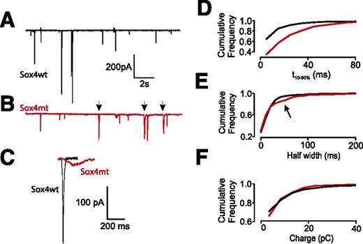 Figure 4. Delayed granule emptying in Sox4mt β-cells. A: Release of ATP monitored in individual Sox4wt β-cells expressing ionotropic P2X2 receptors infused with 2 μmol/L free [Ca2+]i. B: As in panel A but from Sox4mt β-cells. Arrows indicate slow (kiss-and-run) events. C: Rapid event recorded in a Sox4wt β-cell, and slow kiss-and-run events recorded in a Sox4mt β-cell. D: Cumulative histogram for the rise times in Sox4wt (black) and Sox4mt (red) β-cells (P < 0.005 by independent samples Kolmogorov-Smirnov test). E: As in panel D for HWs. The arrow indicates that ∼20% of release events are of longer duration (P < 0.005 by independent samples Kolmogorov-Smirnov test). F: As in panels D and E for total charge (Q). Data shown in panels D–F are based on >368 events obtained from 10 Sox4mt and 14 Sox4wt β-cells from two mice of each genotype. See also Supplementary Fig. 1. pA, picoampere; pC, picocoulomb.