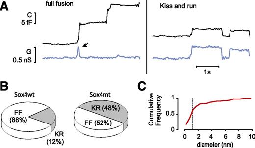 Figure 5. Impaired fusion pore expansion in Sox4mt β-cells. A: On-cell measurements of membrane capacitance (C) and conductance (G), showing two examples of full fusion (FF) from a Sox4wt β-cell (left) where the first event is associated with a prominent, but short-lived increase in conductance (arrow) and an example of transient exocytosis (kiss-and-run [KR]) recorded from a Sox4mt β-cell (right), where C returns to baseline and the capacitance step is associated with a persistent increase in G. B: Pie charts summarizing the fraction of FF or KR exocytosis in Sox4wt (n = 119 events in 23 cells from five mice) and Sox4mt (120 events in 30 cells from five mice) β-cells (P = 8 × 10−7 by χ2 test). C: Cumulative histogram of the distribution of estimated fusion pore diameters in Sox4mt β-cells. The dashed line indicates a fusion pore diameter of 1.1 nm (enough to allow the exit of ATP). Ten percent of the events have an estimated pore diameter >6 nm. See also Supplementary Table 1. nS, nanosiemens.