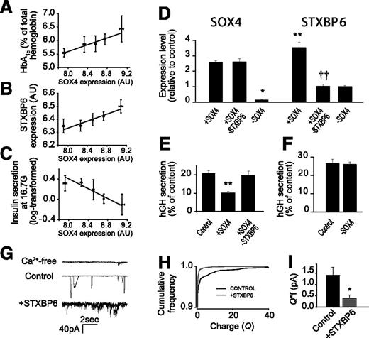 Figure 7. Effects of SOX4 and STXBP6 on human β-cell function. A: Relationship between SOX4 expression and HbA1c levels (R = 0.305, P = 0.036, n = 52). B: Relationship between SOX4 expression and STXBP6 expression (R = 0.321, P = 0.021, n = 63). C: Relationship between SOX4 expression and GIIS at 16.7 mmol/L glucose (R = −0.292, P = 0.043, n = 48). For display, data in panels A–C have been grouped into quintiles. Best-fit lines represent Pearson correlation analyses to the individual data points. D: Quantitative RT-PCR analysis of SOX4 and STXBP6 expression in human cells transfected with scrambled siRNA + DsRed + hGH (dashed line [control]), scrambled siRNA + SOX4wt + hGH (+SOX4), si-STXBP6 + SOX4wt + hGH (+SOX4-STXBP6), and si-SOX4 + DsRed + hGH (−SOX4). Data are mean ± SEM of three experiments, each with three replicates. **P < 0.01 vs. control (dashed line), ††P < 0.01 vs. +SOX4 (by ANOVA and Tukey test). E and F: As in panel D, but hGH release (as a proxy for insulin release in transfected cells) was measured in EndoC-βH2 cells exposed to 20 mmol/L glucose + 70 mmol/L extracellular K+ concentration. **P < 0.01 vs. control; ††P < 0.01 vs. +SOX4 (by ANOVA and Tukey test). Data are mean ± SEM of four experiments, each with three replicates. Note that experiments in panels E and F were carried out independently, and for panel F, data are mean ± SEM of three experiments, each with three replicates. See also Supplementary Fig. 3A–D. G: Effects of overexpressing STXBP6 on ATP release in the human insulin-secreting cell line EndoC-βH2. Traces are labeled control (cells expressing DsRed alone) and +STXBP6 (cells overexpressing STXBP6). The top trace shows recordings when the cells were infused with Ca2+-free medium (several sweeps have been superimposed). H: Cumulative histogram for the charge (Q) of the events in control and +STXBP6 cells (P < 0.005 by independent samples Kolmogorov-Smirnov test). Data are based on 1,100–1,400 events in 9–10 cells. I: Product of mean charge and frequency of events (Q*f) in control and +STXBP6 cells. *P < 0.05 vs. control. See also Supplementary Fig. 4. AU, arbitrary unit; pA, picoampere.