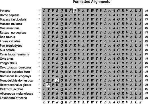 Figure 3. Conservation of arginine at amino acid position 309 of the human PHKG2 protein, and in PHKG2 of other mammals and genera. The figure shows the mutation to glutamine at position 309 in the patient and the conservation of arginine at residue 309 in all other PHKG2 proteins shown in the figure. Protein sequences were from the National Center for Biotechnology Information website.