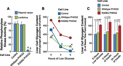 Figure 5. Expression of the R309Q PHKG2 mutant enzyme in human liver cells completely inhibits the enzyme activity of the PhK enzyme complex and inhibits glycogen breakdown in the presence of either low glucose, to stimulate glycogen breakdown, or insulin, to stimulate glycogen formation. A: PhK enzyme activity. Plasmid vectors and lentiviruses containing either the wild-type PHKG2, R309Q mutant PHKG2 or a scrambled nucleotide sequence (Control) were overexpressed in the Huh-7.5 human liver cell line to generate two sets of stable cell lines overexpressing approximately twofold the normal PHKG2 levels in the case of the wild-type or approximately onefold R309Q plus approximately onefold normal PHKG2 proteins compared with the control, as shown in Fig. 4. Enzyme activities are the mean ± SE of three preparations for each cell line. aP < 0.001 vs. control or wild type. B: Glycogen content. A scrambled DNA (Control) and the wild-type and mutant PHKG2-expressing lentivirus cell lines were incubated for 3 and 6 h in the presence of low (1.5 mmol/L) glucose to stimulate glycogen breakdown (mean ± SE, SE values are within symbols, N = 4–6 replicates for each cell line). aP < 0.01 or bP < 0.001 vs. R309Q PHKG2. C: Glycogen content. The parent human liver cell line (Control), the wild-type PHKG2 cell line, or the R309Q mutant PHKG2 lentivirus cell line were incubated in the presence of low glucose for 8 h to stimulate glycogen breakdown or in the presence of insulin for 6 or 24 h to stimulate glycogen formation (mean ± SE, N = 4–6 for each cell line).