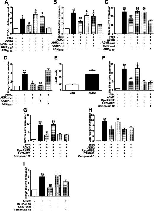 Adrenomedullin 2 Improves Early Obesity-Induced Adipose Insulin ...