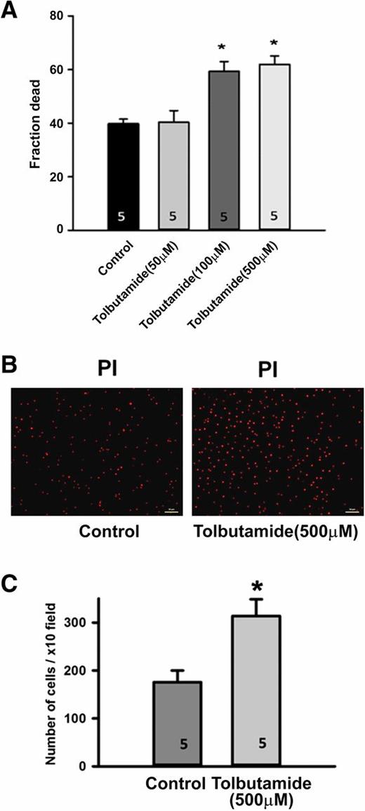 Figure 3. Effect of tolbutamide in OGD-induced neuronal cell injury. Tolbutamide (50, 100, and 500 μmol/L) or DMSO (0.5%) (vehicle-treated control group) was applied 30 min before OGD. Cell damage was assessed 24 h after OGD. A: Quantitative measurements of PI fluorescence of cortical cultures 24 h after OGD showed that the fraction dead was significantly higher in the tolbutamide-treated group than in the control group. *P < 0.05. B: Confocal fluorescence imaging shows a significantly higher number of PI-positive cells in the tolbutamide-treated group than in the control group. C: Quantitative analysis was performed by counting five random fields with a ×10 objective per coverslip (n = 5, with 5 slices included in each sample). Scale bars: 50 μm (×10 objective).