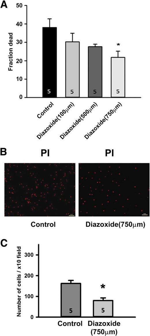 Figure 4. Effect of diazoxide in OGD-induced neuronal cell injury. Diazoxide (100, 500, and 750 μmol/L) or 0.5N NaOH (vehicle-treated control group) was applied 30 min before OGD. Cell damage was assessed 24 h after OGD. A: Quantitative measurements of PI fluorescence of cortical cultures 24 h after OGD showed diazoxide (750 μmol/L) decreased the fraction dead compared with the control group. *P < 0.05. B: Confocal fluorescence imaging shows that the number of PI-positive cells was significantly lower in the diazoxide-treated group compared with the control group. C: Quantitative analysis was performed by counting five random fields with a ×10 objective per coverslip (n = 5, for each sample we chose 5 slices). Scale bars: 50 μm (×10 objective).