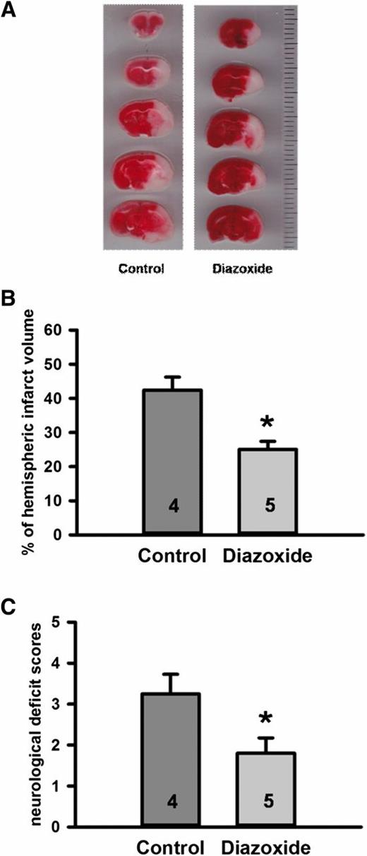 Figure 6. Effects of diazoxide in decreasing infarct volume in mouse pMCAO model. Diazoxide (20 mg/kg in DMSO) or DMSO (0.1%) alone (vehicle-treated control group) was intraperitoneally administered to the mice 20 min before the onset of pMCAO. Infarct volume was assessed 24 h after MCAO. A: Representative TTC images. B: The effects of diazoxide (20 mg/kg i.p.) are shown on brain infarct volume compared with the vehicle-treated control animals. *P = 0.002 by Student t test. C: The 6-point standard scale was used for the neurological deficit score in mice 24 h after the pMCAO. The diazoxide-treated mice (n = 5) with pMCAO exhibited significantly lower neurological deficit scores compared with the vehicle-treated group (n = 4). *P = 0.046.