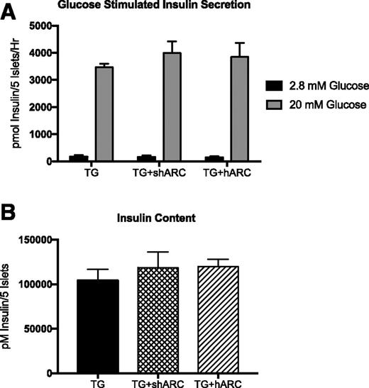Figure 7. ARC does not alter glucose-stimulated insulin secretion or insulin content. hIAPP transgenic islets were transduced with AdV-GFP control (TG), AdV-shRNA against ARC (TG+shARC), or AdV-hARC (TG+hARC) and then cultured for 144 h in 16.7 mmol/L glucose. Following culture, islet glucose-stimulated insulin secretion (A) and insulin content (B) were measured. n = 4–5.