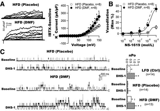 Figure 6. Protective effects of DMF administration on coronary BK channel current density, BK channel–mediated coronary vasodilation, and BK-β1–dependent activation in HFD mice. A: Representative tracings of whole-cell BK channel recordings and current voltage curves obtained from freshly isolated coronary SMCs of HFD mice after a 10-day course of treatment with DMF by gavage. Treatment with DMF restored the BK current density to a level comparable to that in LFD mice (dashed line) (n = 8 cells for each group). B: Treatment with DMF preserved NS-1619–mediated coronary vasodilation in HFD mice to a level similar to that in LFD mice (dashed line) (n = 8 mice for each group). C: Representative tracings of single-BK channel recordings in inside-out patches from freshly isolated coronary SMCs of HFD mice, elicited at 60 mV before and after exposure to DHS-1 (n = 13–14 cells). Animals were treated with DMF or placebo for 10 days, with DMF treatment preserving BK channel activity at baseline and restoring the channel response to DHS-1 in HFD mice to a level similar to that in LFD mice (open bar graphs). *P < 0.05 vs. baseline; †P < 0.05 vs. placebo. Ctrl, control.