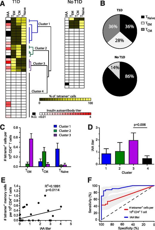 Figure 3. Phenotype and correlation analysis of InsB-tetramer+ cells with insulin antibody. A: IAA titer along with unbiased hierarchical clustering analysis based on tetramer+ cell frequency and phenotype. Each row represents an individual patient (n = 37) or sample from a control subject without diabetes (n = 26), biological replicates. N.D., not determined. B: Combined phenotype of all tetramer+ cells from all patients shown in panel A. C: Frequency of insulin-tetramer+ cells within TEM, TCM, and TNaïve phenotypes from patients within each cluster as determined in panel A. D: Plasma IAA titer among patients within each cluster as defined in panel A. E: Correlation of the frequency of tetramer+ memory (TEM and TCM) cells identified in each patient with their IAA titer. F: Receiver operating characteristic curve analysis using R 3.2.4 software to measure the sensitivity, specificity, and overall performance of tetramer+ cell frequency or IAA to identify individuals with T1D. Bars represent the mean ± SEM. A one-way ANOVA test (D) or linear regression (E) was used to determine significance.