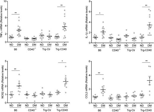 Figure 2. CD40 expression in Müller cells from diabetic mice (DM) restores upregulation of TNF-α, IL-1β, NOS2, and CCL2 mRNA in the retina. At 2 months of diabetes, retinas from diabetic B6, CD40−/−, Trg-Ctr, and Trg-CD40 mice and from nondiabetic (ND) control animals were collected and used for mRNA extraction. mRNA levels were assessed by real-time quantitative PCR using 18S rRNA as the internal control. One nondiabetic B6 mouse was given an arbitrary value of 1, and data are expressed as the fold-increase compared with this animal. The horizontal bars represent the mean ± SEM (n = 7–15 animals per group). *P < 0.05, **P < 0.01 by ANOVA.