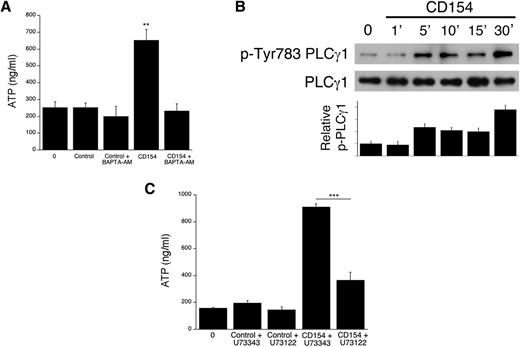 Figure 5. CD40 ligation in Müller cells causes Tyr783 phosphorylation (p) of PLCγ1 and PLC-dependent secretion of ATP. A: CD40+ Müller cells were incubated with or without BAPTA-AM, followed by stimulation with CD154 and measurement of extracellular ATP. Concentrations of extracellular ATP at time 0 and at 15 min of incubation are shown. B: CD40+ human Müller cells were incubated with CD154. Expression of p-Tyr783 PLCγ1 and total PLCγ1 were assessed by immunoblot. The bars represent quantification of relative p-Tyr783 PLCγ1 from three different experiments. C: CD40+ Müller cells were incubated with U73122 or U73343, followed by stimulation with CD154 and measurement of extracellular ATP. Concentrations of extracellular ATP at time 0 and at 15 min of incubation are shown. Results are presented as mean ± SEM (n = 3). **P < 0.01, ***P < 0.001 by Student t test.