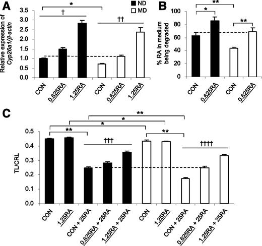 Figure 6. Preconditioning with low-dose RA upregulates Cyp26a1, increases RA-degrading efficiency, and protects against RA-induced caudal truncation. A: Quantification of Cyp26a1 mRNA, normalized to β-actin and expressed relative to ND (control [CON]), which was set as 1, in tailbuds of E9 embryos from ND and MD mice 2 h after maternal oral feeding with low-dose RA (0.625 mg/kg [0.625RA] or 1.25 mg/kg [1.25RA]), or with vehicle as the control (n = 5 from five litters). B: In vitro RA-degrading efficiency, presented as the percentage of RA in the medium being degraded by the tailbud lysate from embryos with or without preconditioned with 0.625RA (n = 5 from three to five litters). C: Embryos, preconditioned with low-dose RA or not, were challenged with a teratogenic dose of 25 mg/kg RA (25RA) via administration to the mother at E9 and were examined for caudal truncation, measured in terms of the ratio of TL to CRL (TL/CRL) at E13 (n = 34–60 from three to five litters). *P < 0.01; **P < 0.001, Student t test. †R2 = 0.900 and P < 0.001; ††R2 = 0.869 and P < 0.001; †††R2 = 0.610 and P < 0.001; ††††R2 = 0.729 and P < 0.001, linear regression. The dotted lines represent no significant difference between the two groups. Error bars represent the mean ± SEM.