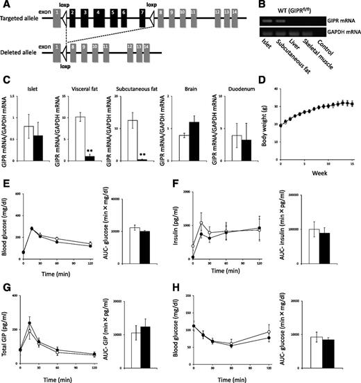 Inhibition of Gastric Inhibitory Polypeptide Receptor Signaling in ...