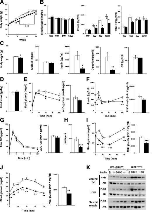 Inhibition of Gastric Inhibitory Polypeptide Receptor Signaling in ...
