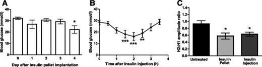 Figure 2. Blood glucose values after implantation of an insulin pellet (A) or after a single subcutaneous injection of 4 IU insulin (B) in otherwise untreated STZ diabetic rats. Data are group mean ± SEM of N = 6/group. *P < 0.05, **P < 0.01, ***P < 0.001 compared with time 0 by repeated-measures ANOVA followed by the Dunnett post hoc test. C: RDD measured in these two groups of diabetic rats and in untreated diabetic rats (untreated) 4 days after initiation of insulin therapy and 12 h after the last insulin injection. Data are group mean ± SEM of N = 6/group. *P < 0.05 vs. untreated diabetic rats by one-way ANOVA followed by the Dunnett post hoc test.