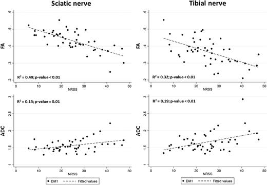 Figure 4. Linear regression analyses of FA (top) and ADC (bottom) values and their associations with the NRSS in the sciatic (left) and tibial (right) nerves. DM1, type 1 diabetes.