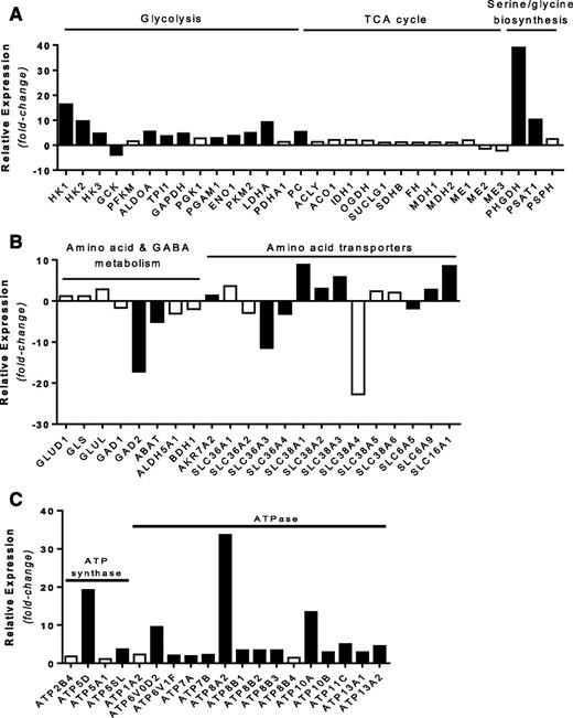 Figure 4. Gene expression in KATPHI and control β-cells. A: Relative expression of genes involved in glycolysis, tricarboxylic acid (TCA) cycle, and serine/glycine biosynthesis. B: Relative expression of genes involved in amino acid and GABA metabolism, as well as amino acid transporters. C: Relative expression of genes involved in ATP synthase and ATPase. Solid black bars represent genes expressed significantly different in KATPHI β-cells (FDR <0.001); open bars represent genes that were not expressed significantly different in KATPHI β-cells.