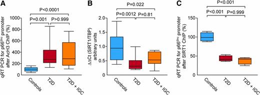 Figure 3. SIRT1-dependent histone acetylation despite glycemic control. A: Acetylation of H3 (AcH3) bound to p66Shc promoter. B: Quantitative real-time (qRT) PCR showing gene expression of the deacetylase SIRT1. C: ChIP assay reveals the interaction between SIRT1 and p66Shc promoter in the three groups. All determinations were performed in peripheral blood monocytes. Data are mean (SD). P values refer to one-way ANOVA followed by Bonferroni correction.
