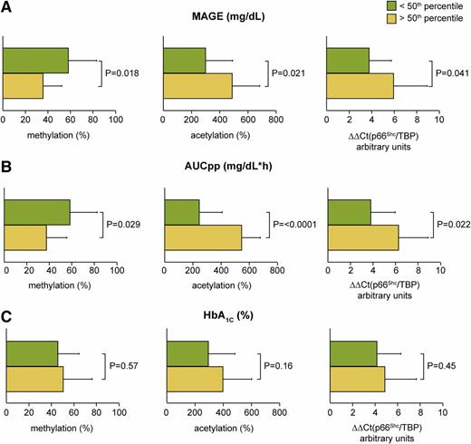 Figure 4. Glycemic variability but not HbA1c is associated with adverse epigenetic signatures. p66Shc promoter methylation, H3 acetylation, and p66Shc mRNA levels in patients with T2D above and below median values of MAGE (A), AUCpp (B), and HbA1c (C). Data are mean (SD). P values refer to Student t test.