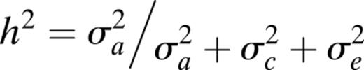formula