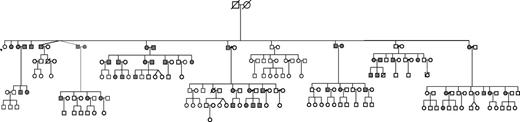Figure 1. Pedigree. The shaded symbols represent the family members who completed the study. Squares represent men, circles represent women. The index subject is indicated with an arrow. The crossed-out symbols indicate deceased family members.