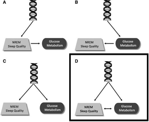 Figure 5. Four possible causal models underlying the observed relationship between glucose metabolism and NREM sleep quality. The panels illustrate the following models in which genetic effects govern NREM sleep quality that in turn influences glucose metabolism (A), genetic effects govern glucose metabolism which in turn influences NREM sleep quality (B), NREM sleep quality and glucose metabolism are coregulated through shared genetic effects (C), and NREM sleep quality and glucose metabolism are coregulated through shared genetic effects and influence each other (D). Our genetic correlation results rule out the models shown in panels A and B. Taken together with experimental findings, our data suggests the most likely model underlying the relationship between NREM sleep and glucose metabolism is shown in panel D.