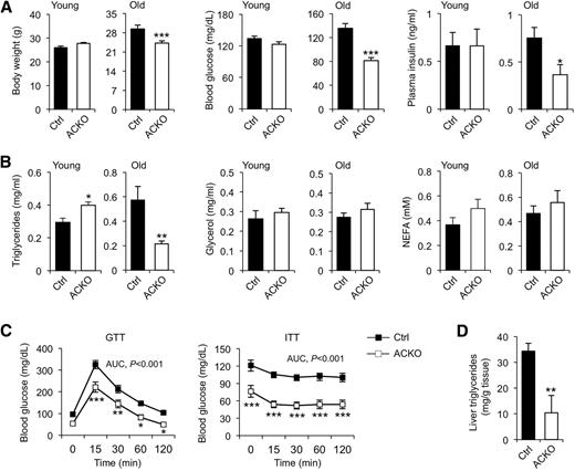 Figure 5. ACKO mice exhibit an improved metabolic profile during aging. A: Body weight, ad libitum blood glucose, and plasma insulin levels in young mice (n = 4–5) or old mice (n = 6–7) fed with standard chow diet. B: Plasma lipid levels in young and old mice fed a standard chow diet. C: GTT and ITT assays in old control and ACKO mice (n = 6–9). D: Liver TAG content in old mice following overnight starvation (n = 6–9). Data represent mean ± SEM. AUC, area under the curve. *P < 0.05, **P < 0.01, ***P < 0.001.