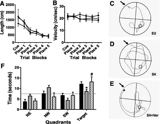 Figure 4. Verapamil treatment prevents severe hypoglycemia-induced decreased performance in the MWM. A: Shown are the swim path lengths required by the animal to locate the platform. There was no statistical difference between the EU (-●-; n = 7), SH (-■-; n = 8), and SH+VER (-▲-; n = 6) groups throughout the trials. All groups had similar escape path length during the cue and place trials. B: The average swim velocity of the animals was not different between treatment groups. C–E: Representative individual swim paths during the probe trial. The arrows represent the location of the starting point and the small circle in the opposite (target) quadrant indicates the previous location of the submerged platform. F: Mean time spent in each quadrant during the probe trial. The dashed horizontal line represents a random amount of time in the quadrant. EU and SH+VER (but not SH) animals spent significantly more time in the target quadrant, demonstrating target quadrant preference. SH rats spent less time in the target quadrant compared with EU. *P < 0.05 SH vs. EU. SH+VER rats spent significantly more time the target quadrant compared with SH. #P < 0.05 SH+VER vs. SH. Bar legends indicating treatment groups are as in Fig. 2. NE, northeast; NW, northwest; SW, southwest.