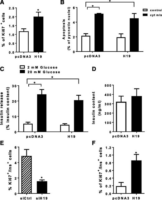 Figure 2. Functional role of H19 in β-cells. INS832/13 cells (A–D) or dissociated islet cells from adult rats (F) were transfected for 48 h with a control plasmid (pcDNA3) or a plasmid allowing the expression of H19. A and F: The fraction of proliferating cells was determined by scoring Ki67-positive cells. B: Cell death was assessed by scoring the cells displaying pyknotic nuclei. The cells were incubated for the last 24 h without cytokines (control) or with a mix of cytokines (cyt mix). C and D: Insulin secretion (C) and insulin content (D) were measured by ELISA after 45 min of incubation with either 2 or 20 mmol/L glucose. E: Dissociated islet cells form P10 rats were transfected with a small interfering RNA against green fluorescent protein (siCtrl) or against H19 (siH19). The fraction of proliferating insulin-expressing cells was determined by scoring Ki67-positive cells. The results are the mean ± SEM of three (B and E), four (F), five (C and D), or seven (A) independent experiments. Statistically significant differences from the control conditions were assessed by using the Student t test or one-way ANOVA with a Dunnett post hoc test when more than two conditions were compared. *P < 0.05.