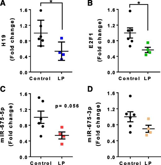 Figure 6. Expression of H19, E2F1, miR-675-5p, and miR-675-3p in islets from offspring born to dams fed an LP diet during gestation and lactation. H19 (A), E2F1 (B), miR-675-5p (C), and miR-675-3p (D) levels were measured by quantitative RT-PCR in P10 rats (Control) and P10 offspring born to dams fed an LP diet during gestation (LP) and normalized to those of Ppia (A and B) or miR-130b-3p (C and D); results are expressed as fold change. The results are the mean ± SEM of four or six rats. Statistically significant differences from control pups were calculated by using the Student t test. *P < 0.05.