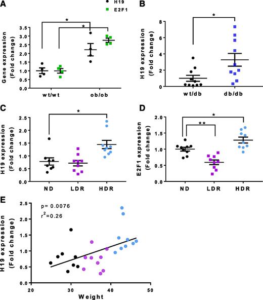 Figure 7. H19 participates in β-cell mass expansion under obesity-associated conditions of insulin resistance. RNA levels were measured by quantitative RT-PCR in islets from wt/wt and ob/ob mice (A), from wt/db and db/db mice (B), and from mice fed a normal chow diet (ND) or an HFD (LDR and HDR) (C and D). E: Linear regression analysis between H19 level and weight before we sacrificed mice fed the ND or the HFD. The black dots represent values in rats fed the ND; the purple dots, LDR; and blue dots, HDR. Statistically significant differences from the control mice (wt/wt, wt/db, or those fed the ND) were calculated by using the Student t test (A and B), the Kruskal-Wallis test with a Dunn post hoc test (C), or one-way ANOVA with a Dunnett post hoc test (D). The F test was performed to measure significance in E. *P < 0.05, **P < 0.01.
