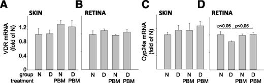 Figure 5. Abundance of VDR in mouse skin (A) and retina (B) and Cyp24a1 in skin (C) and retina (D) as determined by quantitative real-time PCR and normalized to β-actin. No significant changes were observed in VDR mRNA levels in the skin and retina among groups, but diabetes significantly reduced mRNA for Cyp24a1 in retina, and PBM inhibited that reduction. PBM was initiated immediately after onset of diabetes and continued for 14 to 15 weeks. D, diabetic mice; N, nondiabetic mice. Data are presented as mean ± SEM. n = 6 to 7 animals/group.