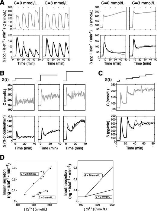 Figure 2. Simulation of tests in mouse islet preparations. A–C: Cytosolic calcium concentrations (C) and insulin secretion rates (S) as experimental data (gray lines) and model prediction (black lines) in three studies. A: Response to intermittent calcium increments (left) or to step calcium increments (right) at two glucose (G) levels, as reported by Henquin et al. (11). B: Response to an increase in glucose concentration from 8.5 to 11.1 (left), 16.7 (middle), and 30 (right) mmol/L (11). C: Response to a stepped hyperglycemic clamp as reported by Jonkers and Henquin (12). The model parameters for these studies are reported in Supplementary Table 1. D: Characterization of the amplifying pathway. Left: The amplifying effect of glucose on insulin secretion as reported by Henquin (22) (redrawn from his Fig. 4C). At a higher glucose concentration, the relationship between calcium concentration and insulin secretion is steeper. Right: The model representation of the relationship between calcium and insulin secretion at the same glucose concentrations obtained from the refilling function fr as determined in the study by Henquin et al. (11) (B). In the right panel, insulin secretion is rescaled (scale factor = 5) to match the units of the left panel. The parameters used are those of the hyperglycemic clamp in Supplementary Table 1.