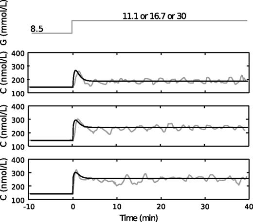 Figure 3. Simulation of glucose-induced calcium signaling by using the glucose-calcium model. Experimental cytosolic calcium concentrations (C) in response to three different glucose (G) steps as reported by Henquin et al. (11) (gray line) and predicted by the calcium model from the glucose input (black line). The parameters of the calcium model are reported in Supplementary Table 1.