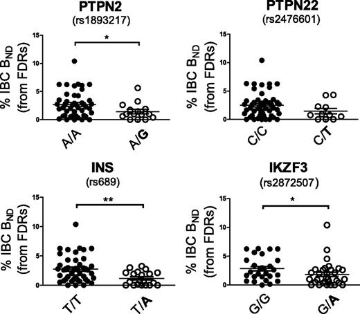 Figure 3. Loss of IBC BND cells is associated with high-risk type 1 diabetes non-HLA genotypes. Percentage of IBC BND cells in FDRs who carry the risk allele for a particular SNP or do not. Risk alleles are in bold. ●, FDRs who carry the nonrisk allele; ○, FDRs who carry the risk allele. A total of 60 FDRs were analyzed for the presence or absence of each risk allele. *P < 0.05, **P < 0.01 by Student t test.