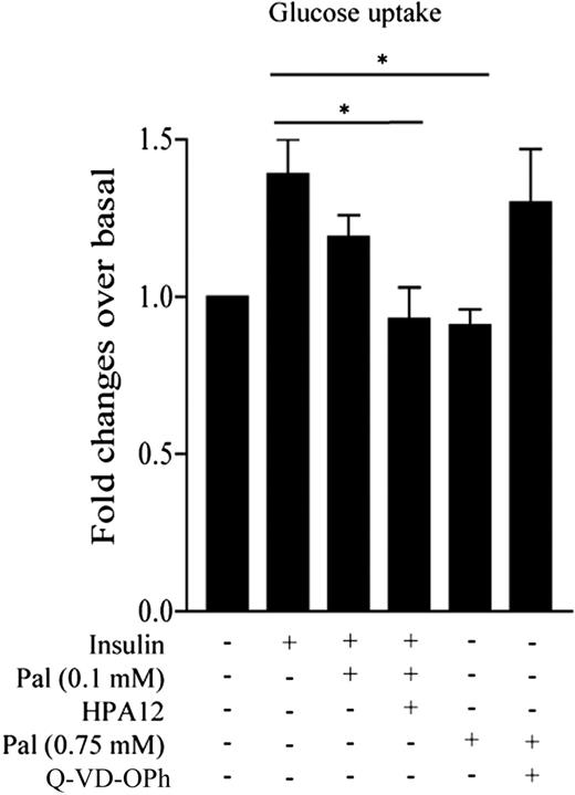 Figure 6. Effects of modulating CERT activity on insulin-induced glucose uptake in C2C12 myotubes. C2C12 myotubes were treated with 0.1 or 0.75 mmol/L palmitate (Pal) for 16 h with or without HPA12 (10 μmol/L) or Q-VD-OPh (20 μmol/L). Glucose uptake was assessed after 30 min of insulin treatment (100 nmol/L). Data are mean ± SEM (n = 5). *P < 0.05, relative to insulin.