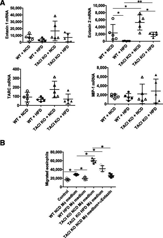 Figure 7. Expression of eosinophil chemotactic factors by VAT and chemotaxis of eosinophils induced by CM from VAT Mϕs. A: SVF cells of HFD- or NCD-fed wild-type (WT) or TACI KO mice were purified by density centrifugation with 30 and 70% Percoll gradient. Mϕs were positively collected using anti-F4/80 antibodies and MACS technology. Eotaxin-1, eotaxin-2, TARC, and MIP-1β mRNA were quantified in real-time PCR. Data presented as mean ± SD of five mice. B: Splenic eosinophils (2 × 105 per Transwell insert) were placed into the upper chamber of Transwell plate with DMEM/F12 “control” medium or CM from VAT Mϕs in the lower chamber and incubated at 37°C for 2 h. For neutralization of eotaxin-2, CM were incubated at room temperature with 2 µg/mL anti–eotaxin-2 antibody for 30 min. Total numbers of live cells that had migrated into the lower side of insert and the bottom chamber were counted. Data presented as mean ± SD of five mice. *P < 0.05; **P < 0.01.