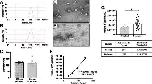 Figure 1. Comparison of plasma exosomes, isolated with ExoQuick, and 100-nm extruded microvesicles. A and B: DLS measurements of 100-nm extruded microvesicles (A) and plasma exosomes (B). d.nm, diameter, in nanometers. C: DLS measurements showed no difference in diameter between 100-nm extruded microvesicles (n = 9; dotted bar, black circles) and control mouse exosomes (n = 10; gray bar, gray squares). D and E: Electron microscopy images of 100-nm extruded vesicles (D) and plasma exosomes (E). Scale bars = 200 nm. F: Vesicle concentration (particles per milliliter) plotted against SLS measurement (kilocounts per second [kcps]). G: The number of plasma exosomes was increased significantly in diabetic mouse plasma. The number of exosomes isolated from plasma of control mice (n = 9; gray bar, gray circles) and STZ-induced diabetic (3 months) mice (n = 15; white bar, black squares) was measured through the use of SLS (kilocounts per second) (bottom). All data points are shown as univariate scatter plots with mean and SD. *P < 0.05.