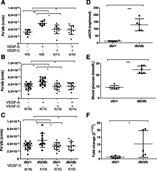Figure 1. VEGFC prevents the increase in glomerular Ps’alb caused by VEGFA and type 2 diabetes. Glomeruli were sieved from healthy mice (FVB/mixed background [A] and db/+ lean control [B]) and stimulated ex vivo with vehicle, 1 nmol/L VEGFA, 10 nmol/L VEGFC, or both for 1 h at 37°C, and Ps’alb was measured (one-way ANOVA with Bonferroni post hoc tests indicated). C: Glomeruli were sieved from db/+ and db/db mice at 12–14 weeks of age and were incubated ex vivo with (+) or without (−) VEGFC, then Ps’alb was measured (one-way ANOVA with Bonferroni post hoc tests are indicated). The number of animals is indicated outside brackets and number of glomeruli indicated inside brackets. uACR (D) and blood glucose (E) levels are shown for db/+ and db/db mice at 12–14 weeks of age. F: Fold change in VEGFA mRNA expression in sieved glomeruli from db/+ and db/db mice is shown (n = 6 and 5, respectively). *P < 0.05, **P < 0.01, ***P < 0.001.