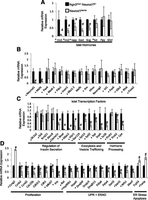Figure 2. Murine NEUROD1 binds near and is required to regulate the transcription of genes important for the differentiation of functional β-cells, proliferation, and survival. A–D: RNA-Seq expression data for Neurod1Δendo and Ngn3Cre+; Neurod1fl/+ E17-sorted pancreatic endocrine cells. An asterisk indicates Neurod1-bound genes in 12-week-old mouse islets determined using a published ChIP-Seq data set (Tennant et al. [6]). #P value <0.01. n = 4 for each genotype. Error bars indicate SD.