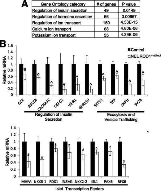 Figure 7. Reduced expression of β-cell genes in NEUROD1mut/mut INSULIN-GFP+ cells differentiated from HESCs. A: PANTHER gene ontology categories with significant enrichment of genes downregulated (adjusted P value = 0.05) in NEUROD1mut/mut compared with control day 27-sorted INSULIN-GFP+ cells. B: RNA-Seq data of β-cell genes downregulated in NEUROD1mut/mut relative to control D27-sorted INSULIN-GFP+ cells. *P value <0.05; ^P value <0.01. n = 4 for each genotype. Error bars indicate SD.