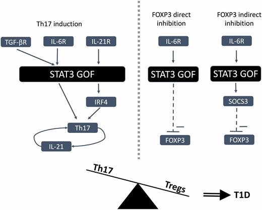 Figure 1. The altered balance between Th17 and Tregs in patients with STAT3 GOF and the potential mechanisms underlying it. In the context of STAT3 GOF, an increase in IRF4 expression induction is able to drive the skewing of Th17. At the same time, TGF-β and IL-6 together with IL-21 are able to induce a similar amplification of the induction of this cell type. There are two possible ways through which STAT3 GOF could instead affect Tregs development: directly via STAT3 inhibition of FOXP3 or indirectly via SOCS3-dependent inhibition of FOXP3. R, receptor.