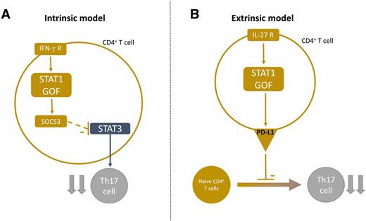 Figure 3. Models linking STAT1 GOF to Th17 deficiency. In the intrinsic model (A), STAT1 GOF inhibits STAT3 activity via SOCS3 and consequently impairs Th17 development. In the T-cell extrinsic model (B), inhibition of Th17 occurs in trans, via PD-L1 overexpression in neighboring cells. It is currently unknown how a reduction in Th17 cells may increase susceptibility to T1D. R, receptor.