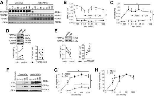 Figure 5. Resistance to Dex-mediated induction of TGFBR3 contributed to higher level of TGFβ signaling activity and lower level of adipogenesis in Om ASCs. Confluent Om and Abdsc ASCs were incubated with Dex (0, 0.25, 1, 2.5, 10, 25, 100, and 1,000 nmol/L) overnight, and phosphorylated (PSMAD2) and total (PSMAD2) SMAD2, TGFBR3, and HSP90 protein levels were measured: representative Western blot (A), densitometry of SMAD2P (B), and relative expression levels of TGFBR3 to HSP90 (C) in samples from six independent donors are presented. Depot differences in dose response curves were significant by two-way ANOVA (depot × Dex interaction, P < 0.05; n = 6). #Depot differences were significant at all Dex concentrations (P < 0.05 [paired t tests]). *Dex effects, P < 0.05 (Dunnett test). D: Abdsc ASCs were transfected with control or TGFBR3 siRNA, and phosphorylated and total SMAD2, TGFBR3 and HSP90 protein levels were measured at confluence (left). Cells were differentiated and adipogenesis (ATGL protein) was determined on day 14 (right). *P < 0.05 (paired t tests), n = 4. E: Confluent Om ASCs were treated with rhTGFBR3 (100 nmol/L) overnight, and phosphorylated and total SMAD2 levels were measured (left). Om ASCs were differentiated with or without rhTGFBR3 (100 nmol/L), and differentiation (Diff.) degree (ATGL protein) was determined on day 14 (right). *P < 0.05 (paired t test), n = 4. Paired Om and Abdsc ASCs from four independent donors were differentiated with varying concentrations of Dex (0, 1, 2, 10, 100, and 1,000 nmol/L): representative immunoblots of ATGL, ADPN, and HSP90 on day 14 (F); quantification of ATGL protein levels relative to HSP90 (G); and ATGL levels calculated as a % of maximal response (H). Dex and depot interactions were significant for both differentiation degree and % maximal response by RM-ANOVA (P < 0.05). #Depot differences (P < 0.05, paired t tests) and *Dex effects (P < 0.05, Dunnett test); n = 4. AU, arbitrary units.