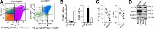 Figure 6. Accumulation of poorly differentiating APs in human Om adipose tissue. A: FACS strategy: freshly isolated stromal vascular cells from Om and Abdsc adipose tissues were first sorted to remove hematopoietic and endothelial cell (Lin+, CD45+/CD14+/CD31+, P4) population. Lin−/CD29+ were then further selected for CD34+/CD90+ cells (P8). B: mRNA expression levels of ZNF423 (marker for AP [left]) and CD68 (macrophage marker [right]) were measured in total stromal and sorted cells from Om. Data are from three donors. C: The number of APs (CD45−/CD14−/CD31−/CD29+/CD34+/CD90+) is presented as cells per gram of adipose tissue (left) and percent of the total number of stromal cells (right). *P < 0.05 (paired t tests). D: Paired samples of total stromal cells and sorted APs from Om and Abdsc were grown and differentiated. Protein expression levels of adipocyte markers, ATGL, ADPN, FABP4, and HSP90, were measured on day 14 of differentiation. Representative blots from two independent experiments are shown.