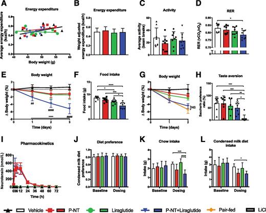 Figure 2. Indirect calorimetry, taste aversion, pharmacokinetics, and taste preference. Energy expenditure (A), weight-adjusted energy expenditure (B), activity levels (C), RER (D), body weight (E), food intake (F), body weight with pair feeding (G), saccharin preference ratio during taste aversion (H), intact NT levels following peptide injections (I), taste preference with simultaneous two-diet access (J), and food intake inhibition on a chow versus a palatable medium-fat, high-sucrose diet (condensed milk diet) (K and L). *P < 0.05; **/##P < 0.01; ***P < 0.001; ****/####P < 0.0001. **** in E denotes difference between combination treatment and vehicle, while ##/#### denote differences between P-NT and liraglutide monotreatment and combination treatment. Data tested with ANCOVA (A and B), one-way ANOVA with Sidak multiple comparison test (C, D, F, and H), two-way ANOVA repeated measurements with Tukey multiple comparison test for individual time points (E), and two-way ANOVA with Tukey multiple comparison test (J–L). Data are mean ± SD. n = 8 (A–F, H, and J–L), n = 5 (G), and n = 4 (I). Liraglutide dosed in a concentration of 2 nmol/kg (A–F and J–L) and 3 nmol/kg (G–I).