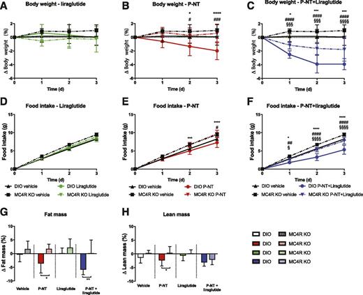Figure 5. Role of the melanocortin system for P-NT, liraglutide, and combination therapy effects. A: Body weight loss following liraglutide (2 nmol/kg) treatment. B: Body weight loss following P-NT (396 nmol/kg) treatment. C: Body weight loss following P-NT (396 nmol/kg) plus liraglutide (2 nmol/kg) treatment. D: Cumulative food intake following liraglutide (2 nmol/kg) treatment. E: Cumulative food intake following P-NT (396 nmol/kg) treatment. F: Cumulative food intake following P-NT (396 nmol/kg) plus liraglutide (2 nmol/kg) treatment. G: Change in fat mass. H: Change in lean mass. Data represent differences between MC4R KO mice and weight-matched DIO controls during 3 days’ treatment. */#/§P < 0.05; **/##P < 0.01; ***/###/§§§P < 0.001; ****/####/§§§§P < 0.0001. */**/***/**** represent differences between DIO treatment and MC4R KO treatment, #/##/###/#### represent differences between DIO vehicle and DIO treatment, and §/§§§/§§§§ represent differences between MC4R KO vehicle and MC4R KO treatment. Data tested with two-way ANOVA repeated measurements with Tukey multiple comparison test for individual time points (A–F) and two-way ANOVA with Sidak multiple comparison test (G and H). Data are mean ± SD. n = 6. d, days.