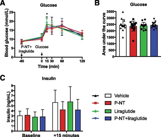 Figure 6. Glucose tolerance after acute treatment with P-NT, liraglutide, and P-NT plus liraglutide combination therapy in DIO mice. A: Glucose levels at individual time points. B: Glucose area under the curve. C: Insulin levels at individual time points following vehicle, P-NT (396 nmol/kg), liraglutide (2 nmol/kg), or combination treatment with P-NT (396 nmol/kg) and liraglutide (2 nmol/kg). *Difference between P-NT and liraglutide and P-NT and vehicle. Data tested with two-way ANOVA repeated measurements with Tukey multiple comparison test (A), one-way ANOVA with Tukey multiple comparison test (B), and two-way ANOVA with Tukey multiple comparison test (C). Data are mean ± SD. n = 14.