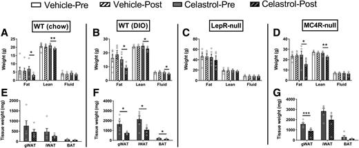 Figure 2. Changes of body composition by celastrol treatment. A–D: Body composition shown in grams. E–G: Different fat pad masses from gross dissection at the end of experiment. Data are presented as mean ± SEM. *P < 0.05, **P < 0.01, ***P < 0.001 by unpaired Student t test. gWAT, gonadal WAT.